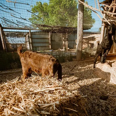 Βίλα Grand Mansion & *