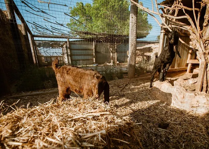 Vila Grand Mansion & *